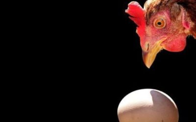 De dooddoener van het toekomstdenken: de kip of het ei